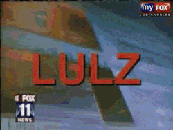 131